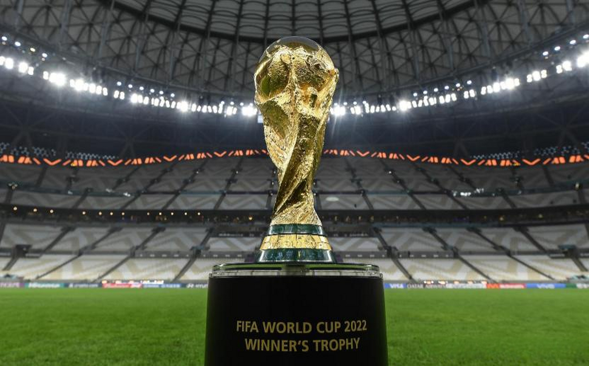 的医疗团队 的医疗团队