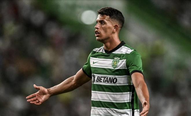 引入优质球 引入优质球