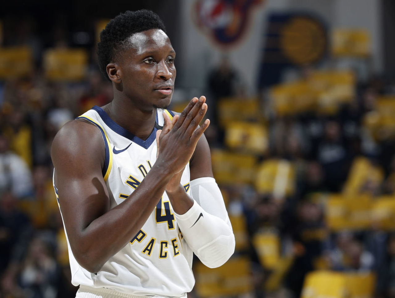 胡金秋的篮 胡金秋的篮